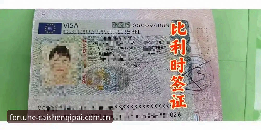世界杯观赛受阻？财神棋牌带你深度解析签证与地缘政治影响完整指南